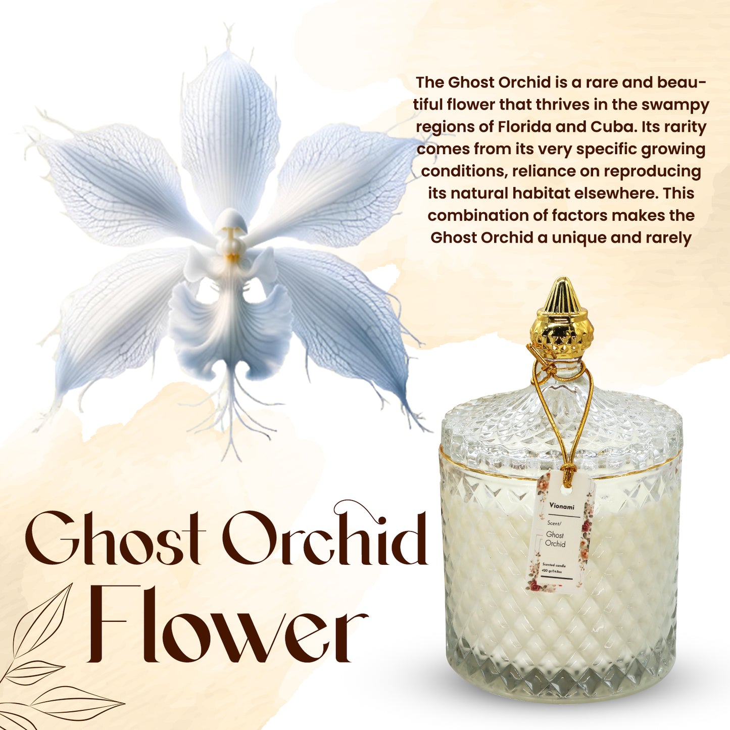 Ghost Orchid – Enigmatic Elegance with a Subtle Floral Scent