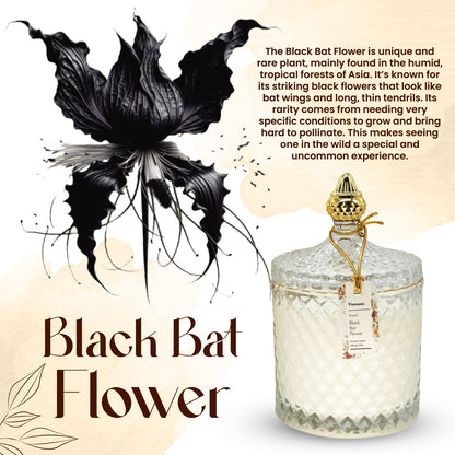 Black Bat Flower – Exotic Allure with Deep, Earthy Aromas