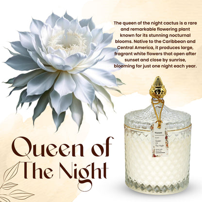 Queen of the Night – Captivating Bloom with Intoxicating Night Scent