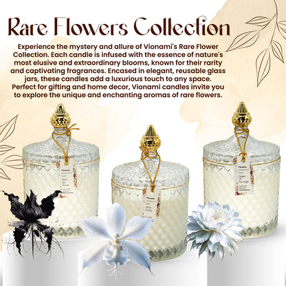 Black Bat Flower – Exotic Allure with Deep, Earthy Aromas